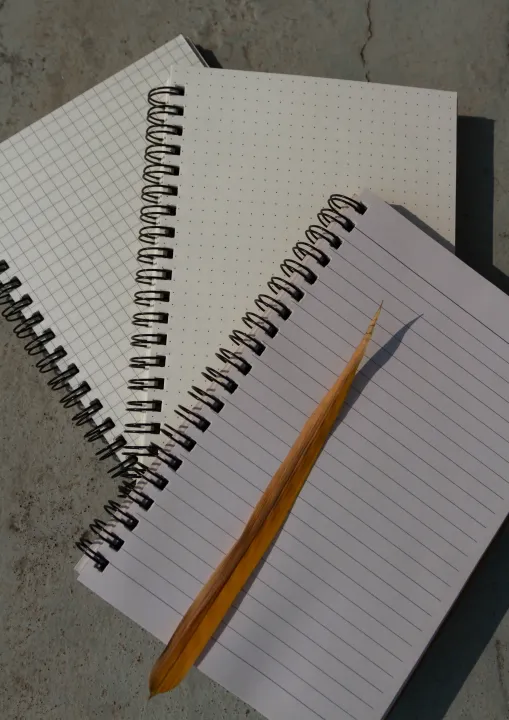 Designer%20Series%20Graph/Grid,%20Dot-Grid%20&%20Daily%20Journal%20Notebook%203-Pack%20-%20Image%204