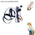 Adjustable Parrot Bird Harness Leash Anti-Bite Flying Training Rope Pet Outdoor Traction Fit Budgerigar Lovebird Cockatiel Mynah Small Birds. 