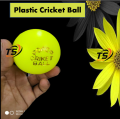 Plastic Hard ball For cricket practice 3 pices. 