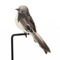 2 Pcs Artificial Feather Bird Garden Statues Floral Decoration Bird Foam Feather Products Sparrow.