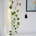 Leaf Fairy String Light, Artificial Pata - Light Decoration - fairy lights for room decoration.