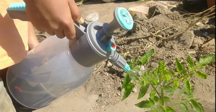 2%20Liter%20Bottle%20Water%20Sprayer,%20Pump%20Pressure%20Handheld%20Garden%20Spray%20-%20Image%202