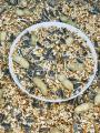 Ringneck Parrot Premium Seed Mix For Bird-1kg. 