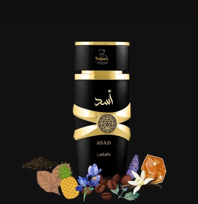 Lattafa%20Asad%20Eau%20De%20Perfume%20for%20men,%20100ml%20-%20Image%204