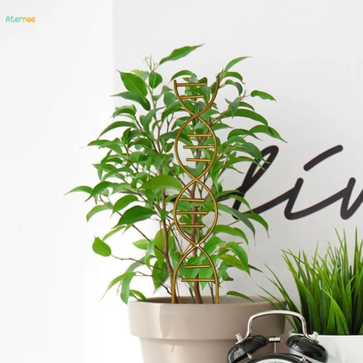 Plant%20Trellis%20Decorative%20Plant%20Cages%20Garden%20Trellis%20Flower%20Pots%20Support%20for%20Vegetables%20Vines%20-%20Image%207