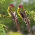 2 Pcs Artificial Feather Bird Garden Statues Floral Decoration Bird Foam Feather Products Sparrow.
