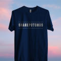 new t shirt Export 100%Cotton High Quality half Sleeve t-shirt for men.