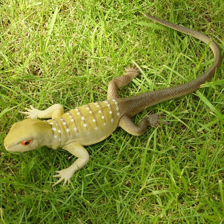 Soft%20Rubber%20Reptile%20Model%20Toys,%20Simulation%20Lizards,%20Squeaking%20and%20Vocal%20Lizards,%20Animal%20Tricky%20Vent%20Toys%20Squishy%20-%20Image%205