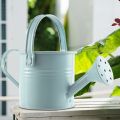 4Pcs Watering Can for Children Watering Bucket for Garden Plants.