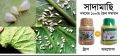 Trap (IMO Certifide Organic Pesticides) Liegibs Products (Control Aphids,Jassids, White Flies,BPH,Mealybugs and other sucking pests).