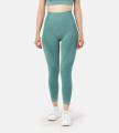 Leafletic Women’s Seamless Leggings | High-Waist Activewear Tights | Ultra Comfort Gym Wear, Yoga & Fitness Pants | Workout Outfit for Running & Training. 