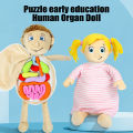 GC Human Body Model Organ Anatomy Plush Toy Learning Organ Teaching Tool Plush Doll Gifts For Preschool Boys Girls.