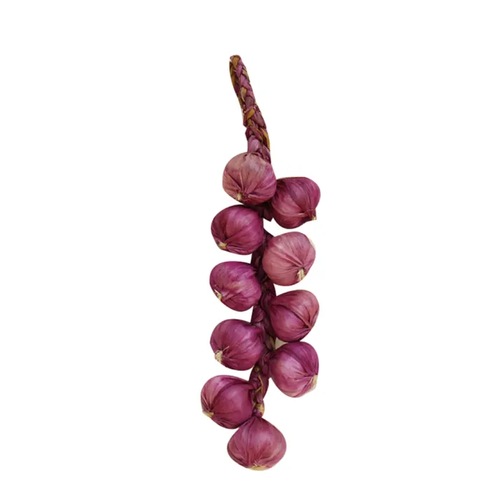 Artificial%20Fruit%20Foam%20Vegetable%20Corn%20Pepper%20Garlic%20Hanging%20Photo%20Prop%20Home%20Decor%20-%20Image%202