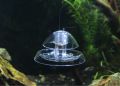 Pond Hydroponic Plants Aquatic Supplies Pest Catch Box Planarian Catcher Cleaning Tool Aquarium Snail Trap. 