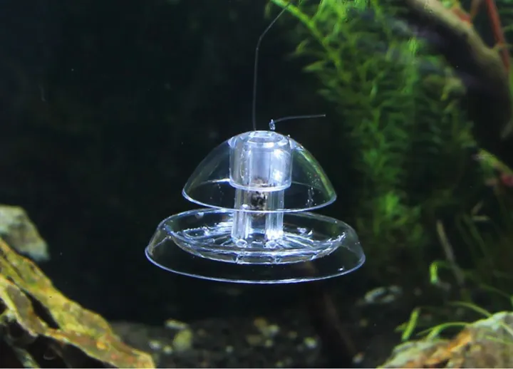 Pond%20Hydroponic%20Plants%20Aquatic%20Supplies%20Pest%20Catch%20Box%20Planarian%20Catcher%20Cleaning%20Tool%20Aquarium%20Snail%20Trap%20-%20Image%207