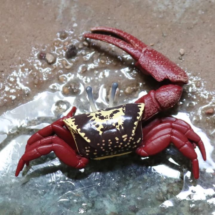 2022%20Ocean%20Simulation%20Crab%20Figurines%20Collection%20Sea%20Life%20Hermit%20Crab%20Lobster%20Stingray%20Model%20Action%20Figure%20Marine%20Animals%20Kid%20Toy%20-%20Image%203