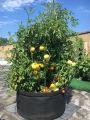 GEO Bag 30 Gallon (Dia 24" Hight 15.5") Plant Grow Bags, Synthetic Pot - (100 Pcs Bundle ).