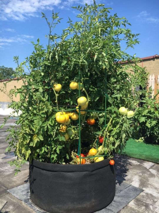 GEO%20Bag%2030%20Gallon%20(Dia%2024"%20Hight%2015.5")%20Plant%20Grow%20Bags,%20Synthetic%20Pot%20-%20(100%20Pcs%20Bundle%20)%20-%20Image%208