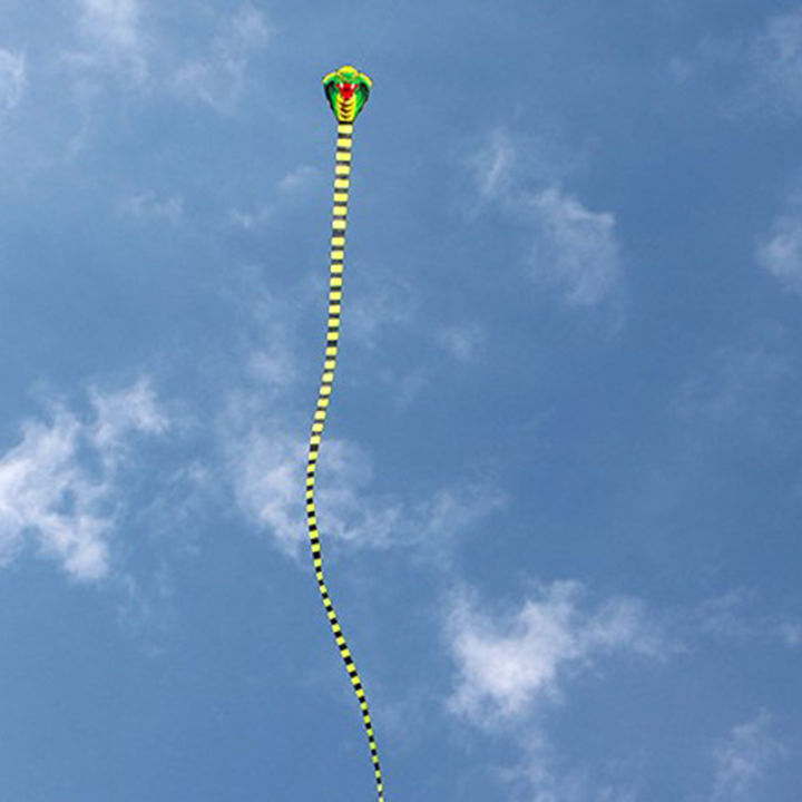 large%20snake%20kite%20cobra%20kite%20with%20handle%20line%20outdoor%20toys%20for%20adult%20bird%20kite%20-%20Image%207