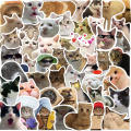 50Pcs Cute Cartoon Cat Stickers Funny Cat Memes Graffiti Stickers for Teens Adults Kids Waterproof Vinyl Stickers for Laptop Phone Guitar Water Bottles Luggage.