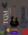 TGM Pure Acoustic Guitar. 