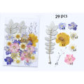 1 Bag Pressed Mixed Organics Natural Dried Flowers. 