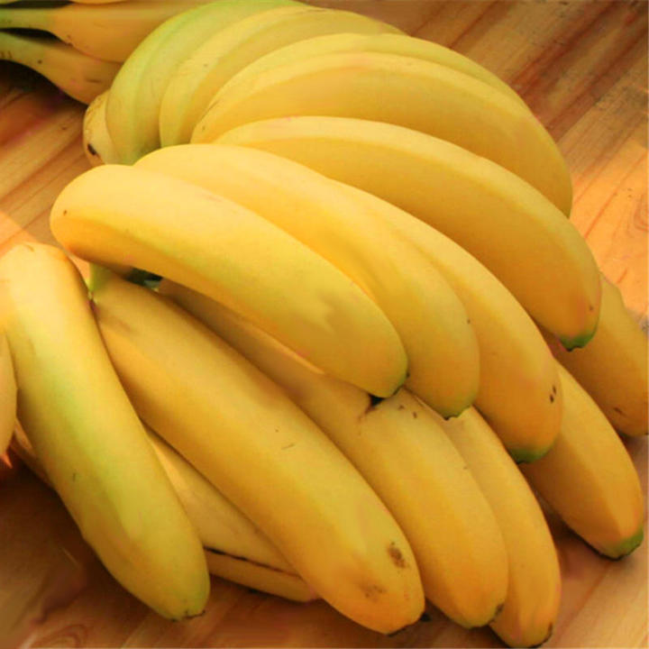 100Pcs%20Garden%20Banana%20Seeds%20Outdoor%20Dwarf%20Fruit%20Trees%20Banana%20Milk%20Taste%20Perennial%20Potted%20Fruit%20-%20Image%205