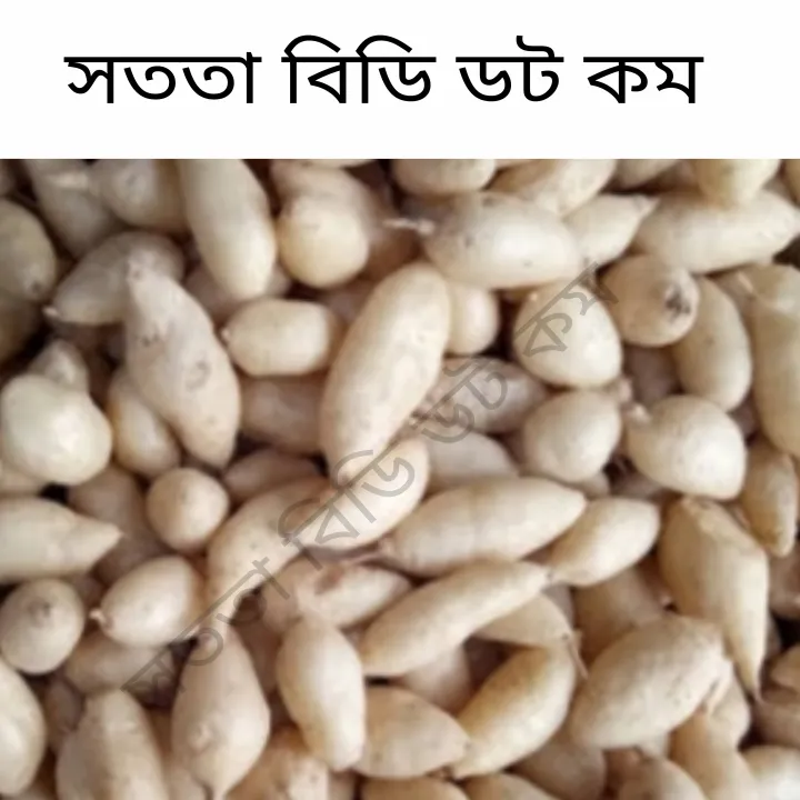 bijjo%20moni%20%20shukna%20dana%20%20/%20bijjo%20moni%20%20shukna%20%20dana%20%20250gm%20-%20Image%203