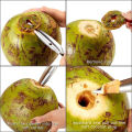 Coconut Hole Opener/Coconut Opener/Coconut Cutter/Dav Opener. 