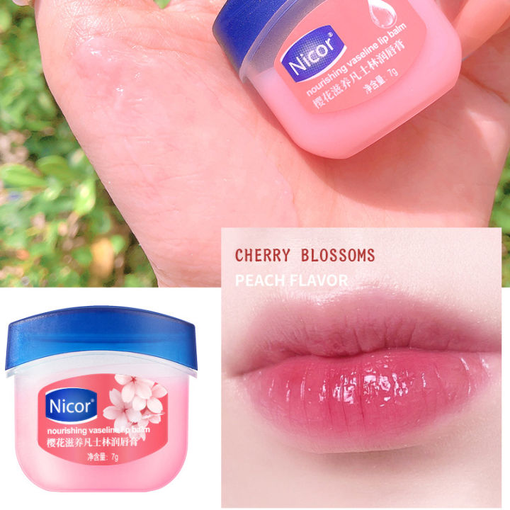 Lip%20balm,%20lip%20balm,%20base%20forest,%20moisturizing,%20anti-cracked%20lip,%20petroleum%20jelly%20lip%20balm%20set,%20natural%20vaseline%20ministry%20care,%20petroleum%20jelly%20korean%20cosmetics%20-%20Image%206