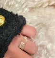 Xiaohongshu with the same brushed Fanta ring, women's design sense of light luxury, versatile zircon open index finger ring.