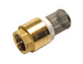3/4'' Brass Foot Check Valve Non Return with Stainless Strainer for Pump.