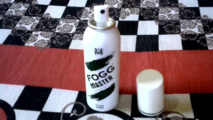 FOGG%20Master%20Pine%20Fragrance%20Body%20Spray%20120ml%20INDIAN%20-%20Image%206