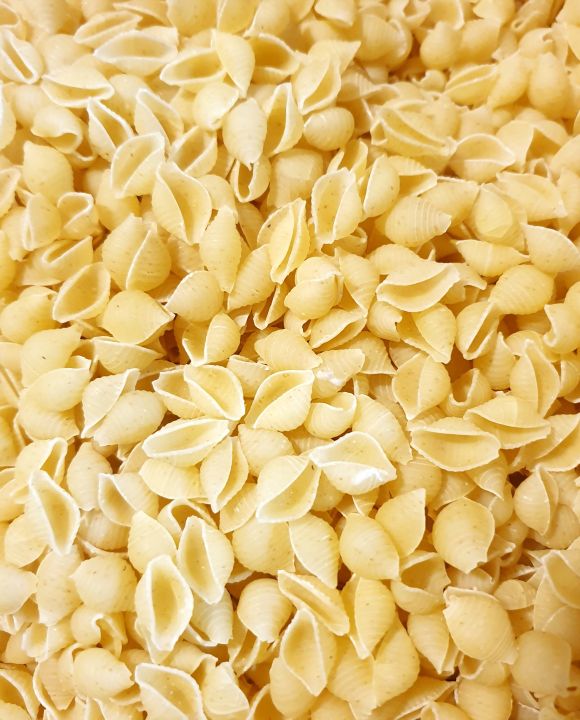 Hard Shell Shamuk White Shamuk Shape Pasta Premium Quality - 1 kg. | Daraz.com.bd