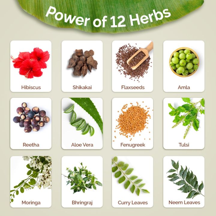 Mamaearth%20Kerala%20Thaali%20Conditioner%20250%20millilitre%20with%20Hibiscus,%20Amla,%20Reetha%20&%20Methi%20Dana%20for%20Smooth,%20Thick%20&%20Long%20Hair%7CSoft%20&%20Shiny%20Hair%20%7C12%20Potent%20100%25%20Natural%20Herbs%20%7CKerala%20Expertise%20-%20Image%206