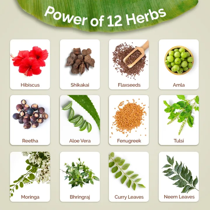 Mamaearth%20Kerala%20Thaali%20Conditioner%20250%20millilitre%20with%20Hibiscus,%20Amla,%20Reetha%20&%20Methi%20Dana%20for%20Smooth,%20Thick%20&%20Long%20Hair%7CSoft%20&%20Shiny%20Hair%20%7C12%20Potent%20100%25%20Natural%20Herbs%20%7CKerala%20Expertise%20-%20Image%206