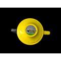 lpg gas low pressure regulator. 