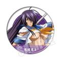 Anime Shin Ikki Tousen 58mm Figure Badge Round Brooch Pin Gifts Kids Collection Toy 2037. 