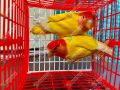 Birds Carrying Cage Only for Small Birds 1pc (Folding) Mix Color 8x6inch. 