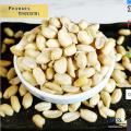 Thai Chinese Raw Peanuts / China Badam  500gm. 