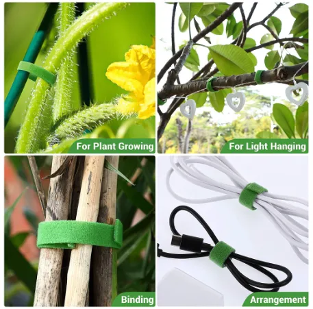 1/4Roll%202M%20Green%20Garden%20Twine%20Plant%20Ties%20Bamboo%20Cane%20Wrap%20Support%20Nylon%20Plants%20Bandage%20Fastener%20Tape%20Hook%20Loop%20Garden%20Accessories%20-%20Image%205