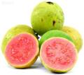 25 Pcs / Bag Guava Bonsai Delicious Tropical Fruit Potted Non Transgenic Outdoor Plants Fruit Tree.