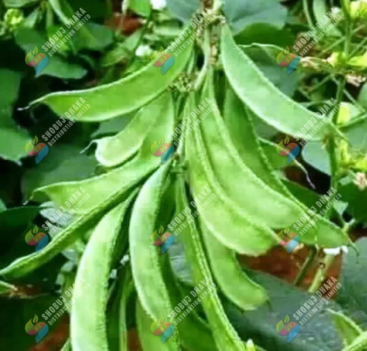 Premium%20&%20100%25%20Dry%20Organic%20Natural%20Rice%20PLANT%20Rice%20Husk%20for%20Gardening%20250%20gm%20-%20Image%202