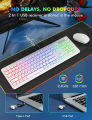Wireless Keyboard and Mouse Combo RGB Backlit, Rechargeable Light Up Letters, Full-Size. 