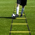 JAERBEE Agility Ladder Set 20Ft Adjustable Speed Training Ladder with 12 Football Training Disc for Soccer, Sports Training.
