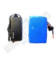 Electric Bicycle Conversion kit with Lithium ion Battery yf Gold.