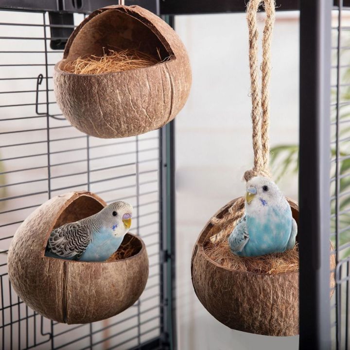 Curated visual reference: Creative Unique Coconut Shell Bird House Handmade Natural Hanging Bird Photo Inspiration