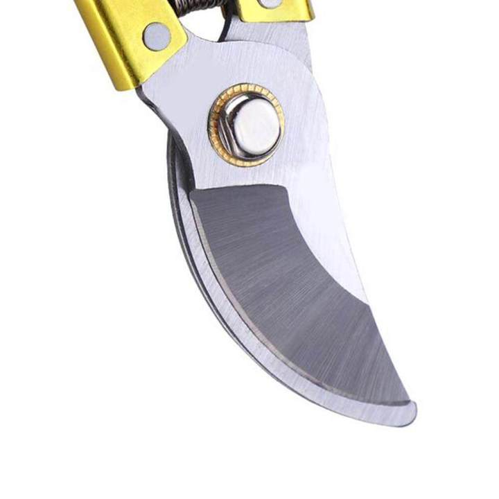 Professional%208%20Inch%20Garden%20Scissors%20Fruit%20Tree%20Pruning%20Shears%20Bonsai%20Pruners%20Grafting%20Cutter%20Garden%20Tools%20-%20Image%205