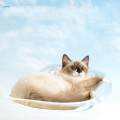 Cat Window Perch Cat Hammock Cat Resting Shelf Cat Furniture Window Seat Light Yellow. 