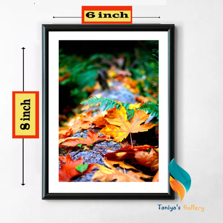 Exquisite%20Photo%20Frame%20Wall%20Decoration%20-%20The%20Perfect%20Choice%20for%20Enhancing%20Your%20Home%20Decor%20and%20Creating%20a%20Heartwarming%20Showcase%20of%20Cherished%20Memories%20-%20Image%203